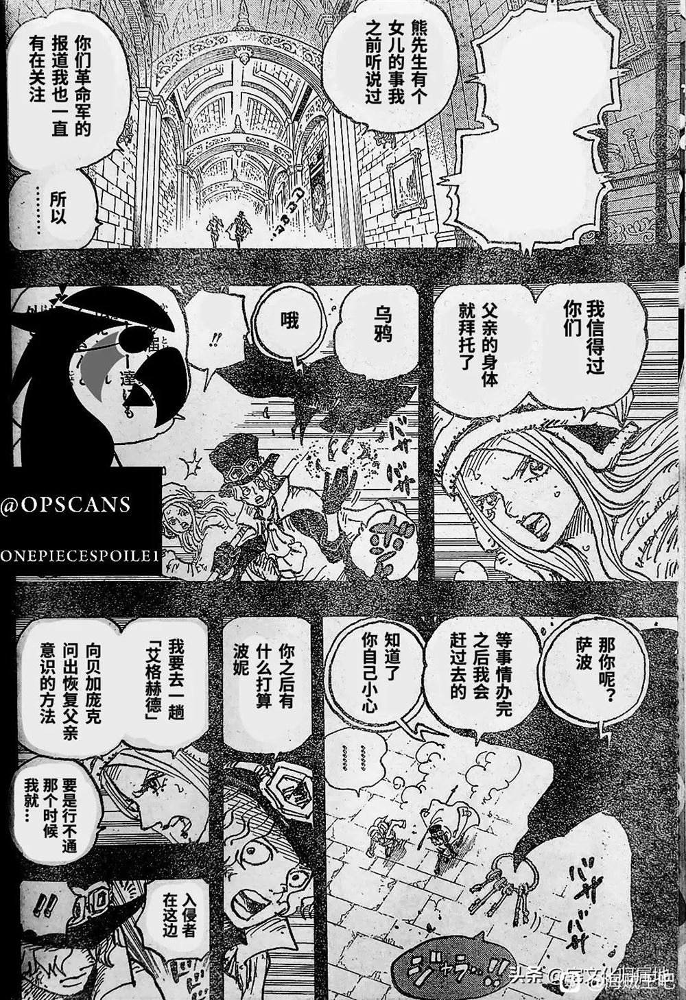 海贼王在线观看全集免费漫画,第1084话 试看版3图
