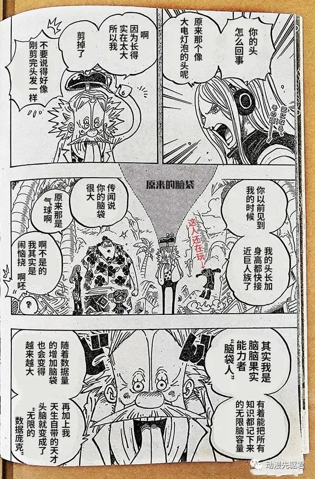 海贼王罗宾漫画,第1067话 野生版2图