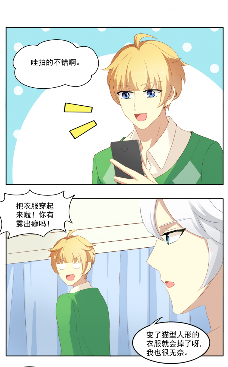 猫王子的新娘免费阅读下拉式漫画,第6话2图