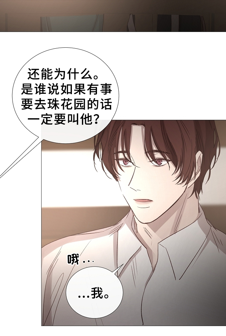 冷温棚草莓整箱批发漫画,第81话5图