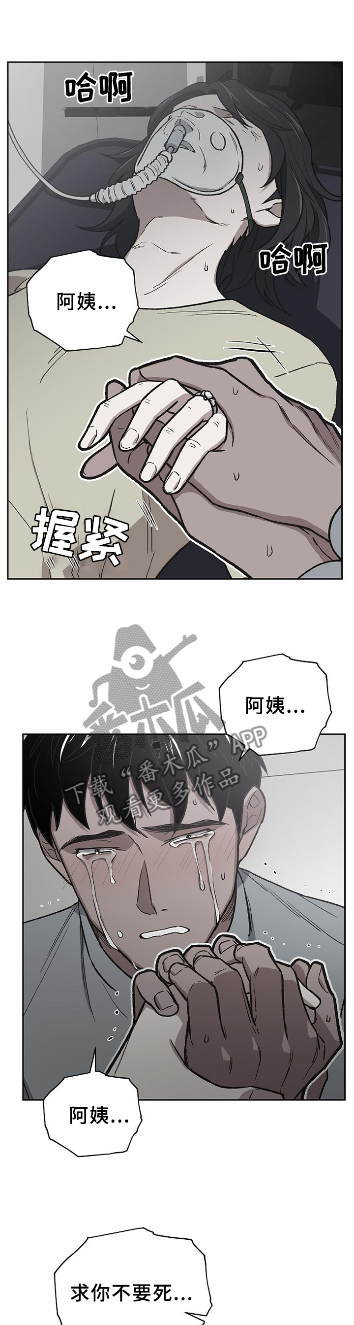祖灵崇拜漫画,第50章：亲弟弟1图