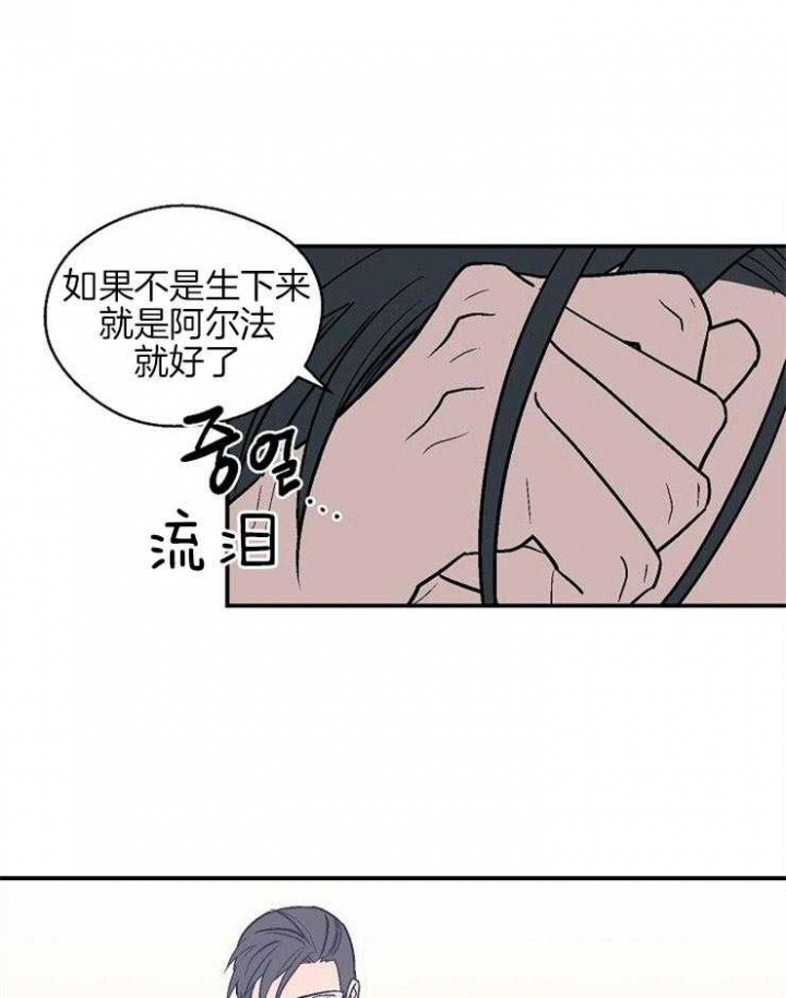 床笫之欢视频网站最新免费版漫画,第39话1图