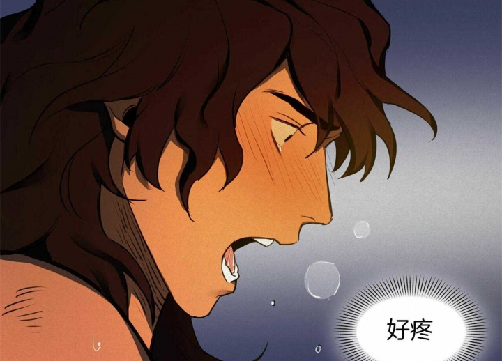 我不是樵夫全集漫画,第65话5图