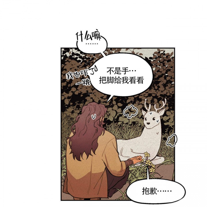 不是樵夫漫画,第2话1图