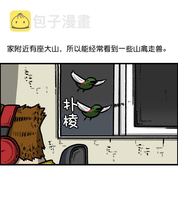 心里的声音韩剧真人版漫画,[第1224话] 不认识的鸟3图