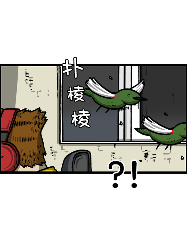 心里的声音韩剧真人版漫画,[第1224话] 不认识的鸟4图