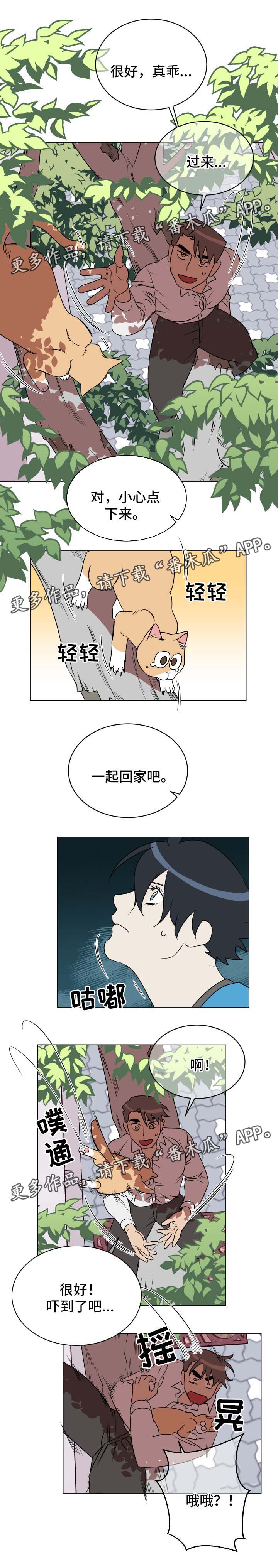 年下指南漫画,第32章：救猫2图