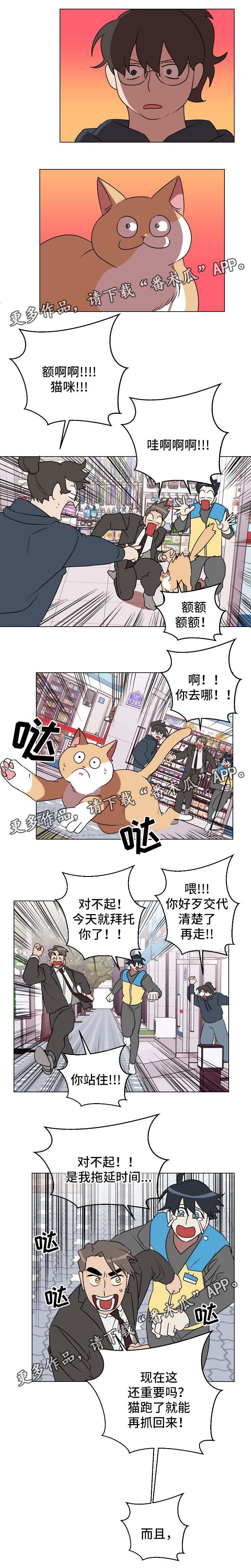 2022年策略漫画,第31章：有意思5图