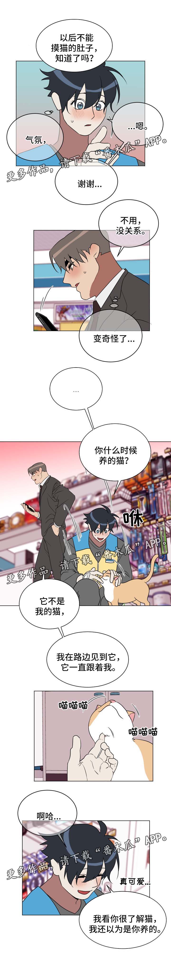 2022年策略漫画,第31章：有意思1图