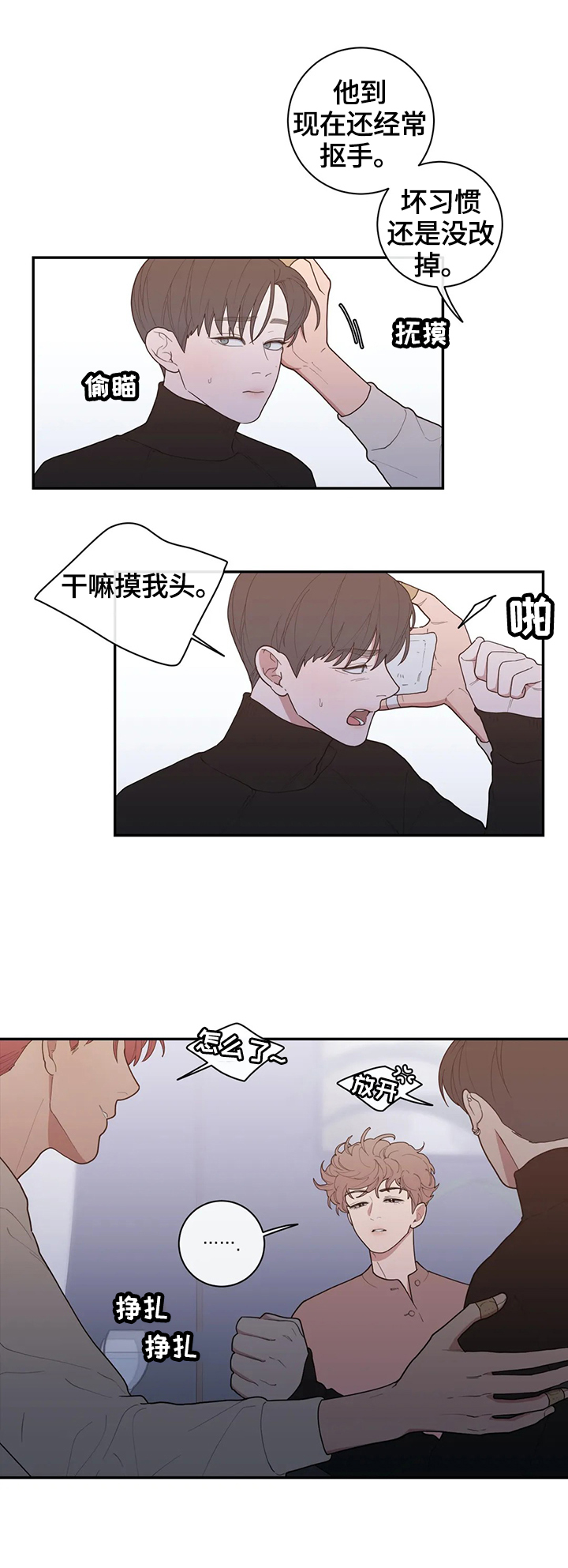 观后感红楼梦读后感450内容概括漫画,第90章：最美好的日子5图