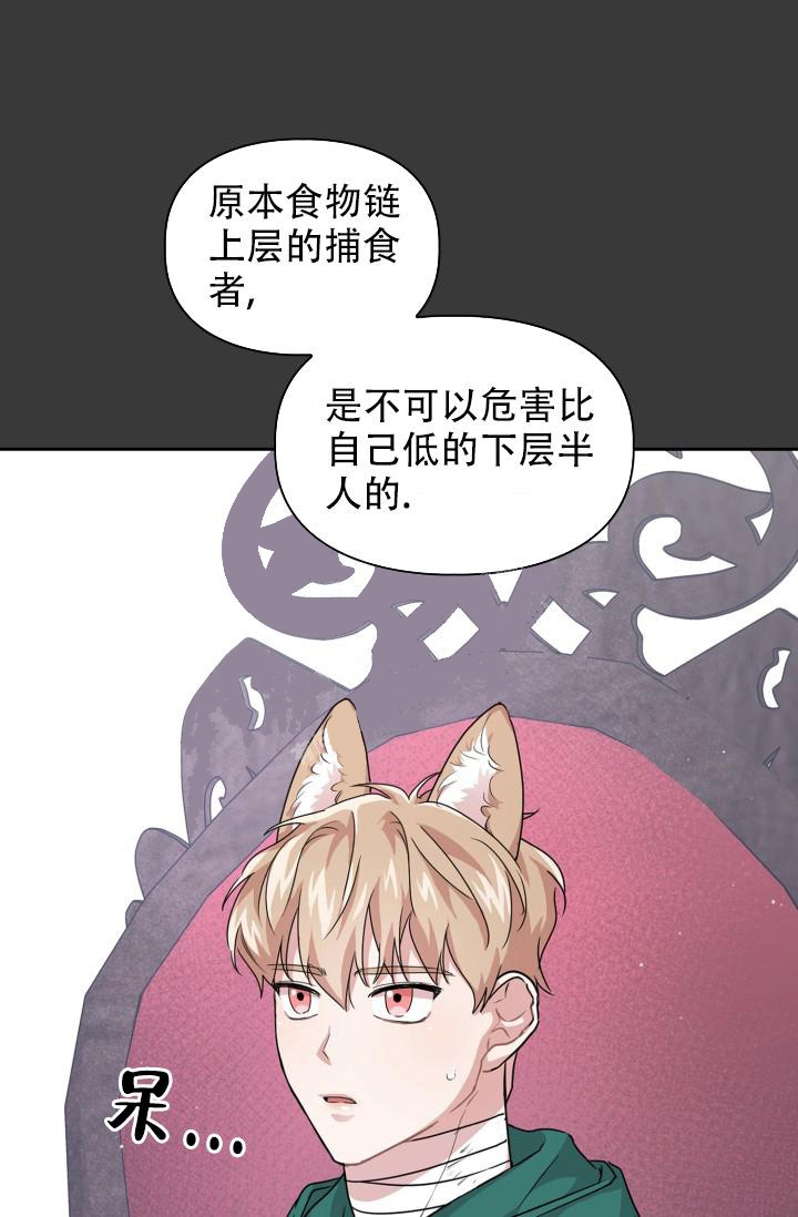 诱饵沈桢小说漫画,第18话5图