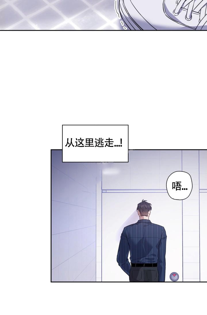 诱饵细胞是什么漫画,第4话5图