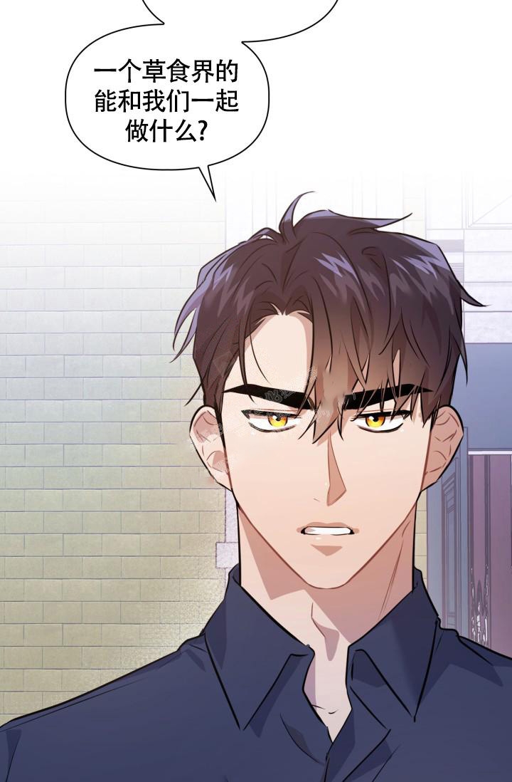 诱饵搜查官1在线阅读漫画,第9话2图