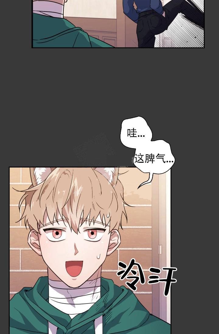 诱饵的笔顺漫画,第14话2图