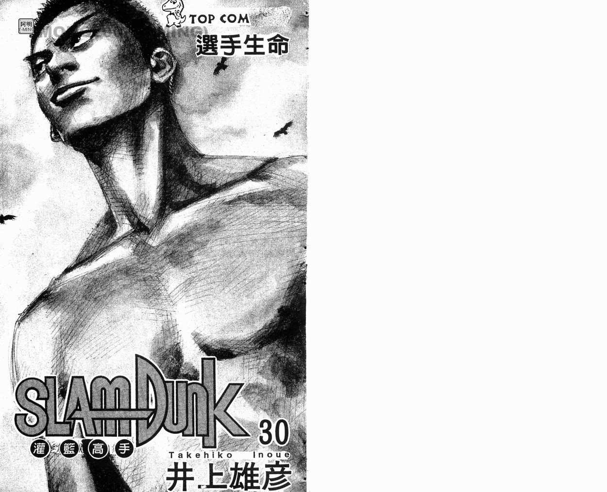 灌篮高手秋之国体漫画,第30卷3图