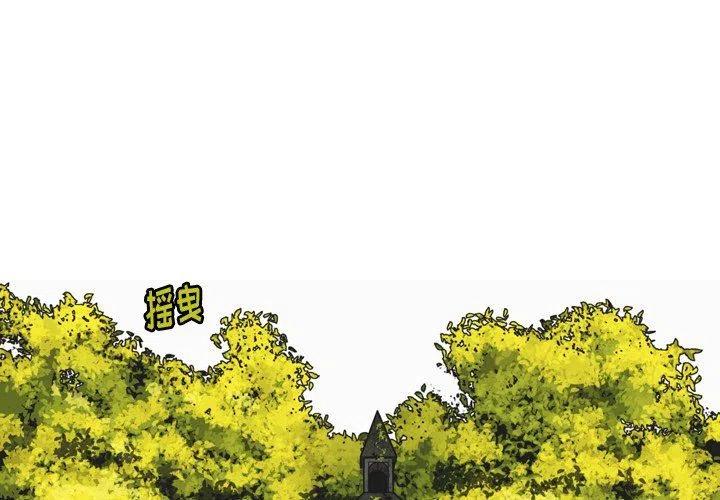 nova9和nova9pro有啥差别漫画,283图