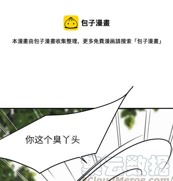 华为nova7上市时间漫画,381图