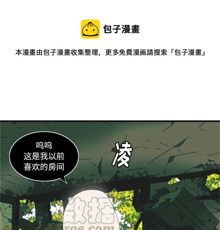 nova9价格表漫画,21图