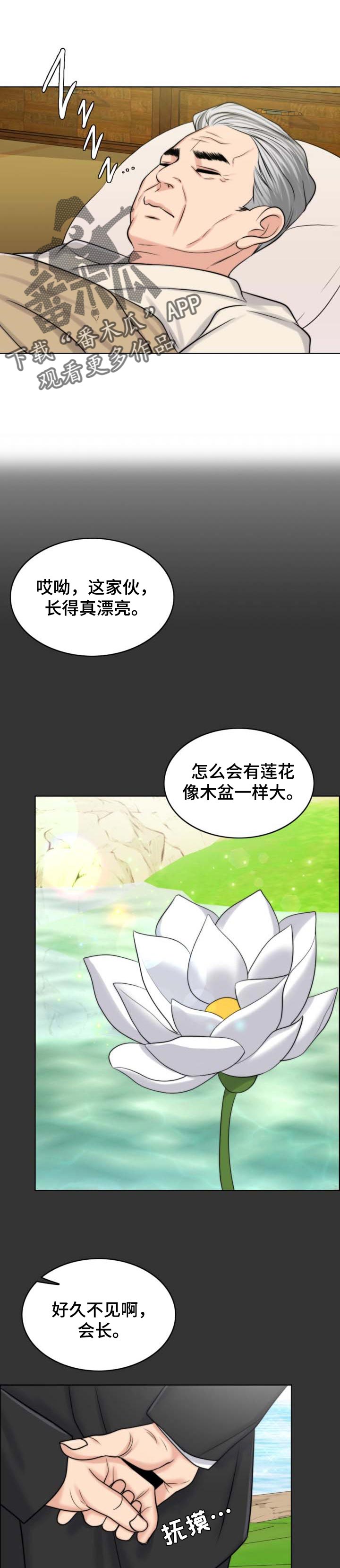 限时婚约深度解析漫画,第64章：出淤泥而不染1图