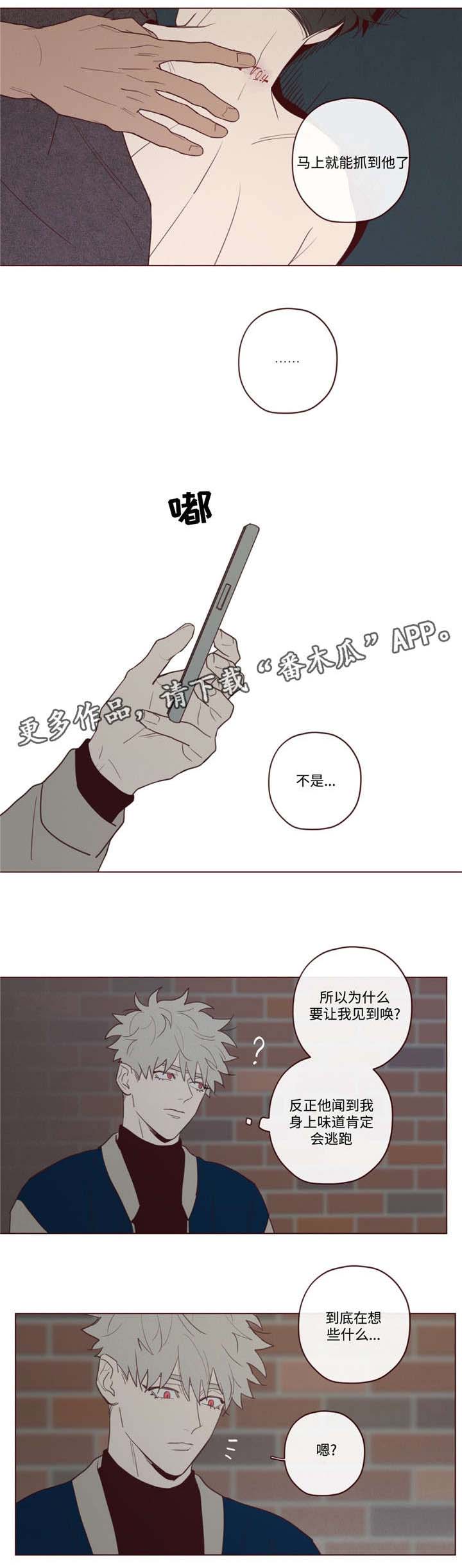 山鬼花钱吊坠男款漫画,第30章：醉1图