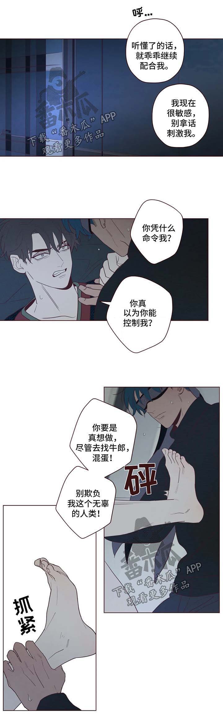 山鬼效灵漫画解说漫画,第64章：多管闲事5图