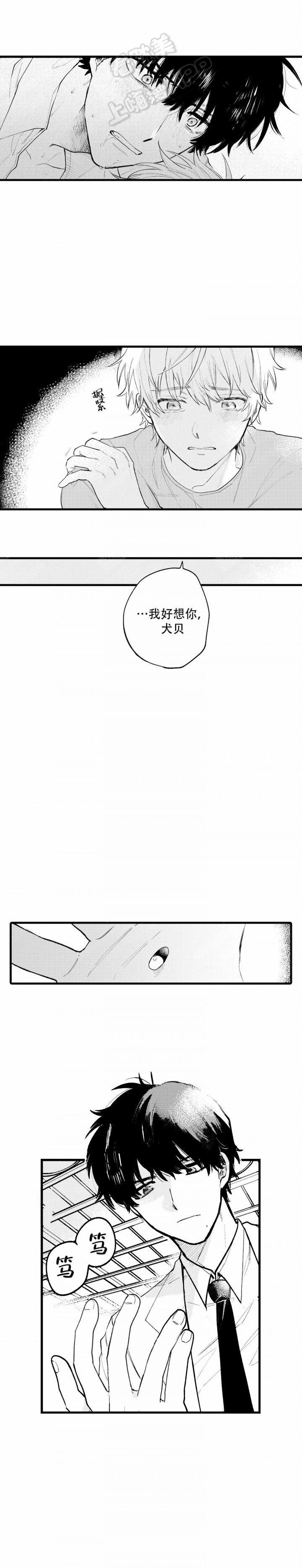 最后的阿尔法人物漫画,第19话4图