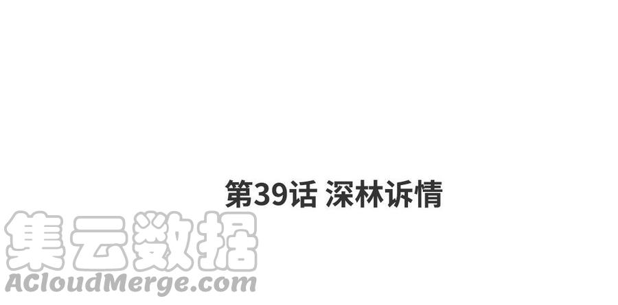 请别随便打开兽笼作者王桃漫画,第39话 深林诉情4图