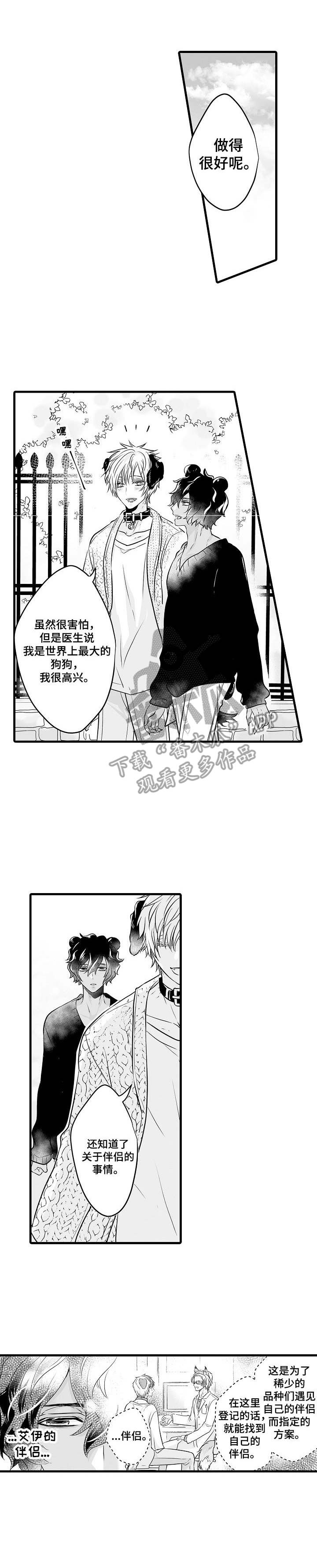 森林中的熊先生冬眠漫画,第5章：依靠1图