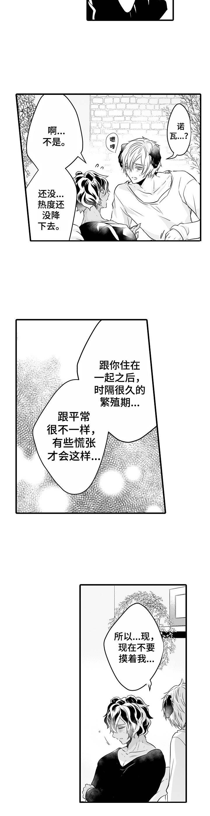 森林中的熊先生动漫未删减版漫画,第9章：更加依赖3图
