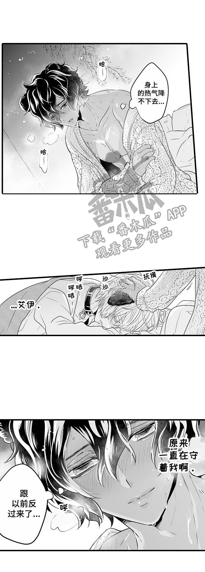 森林中的熊先生漫画免费观看漫画,第7章：发狂1图