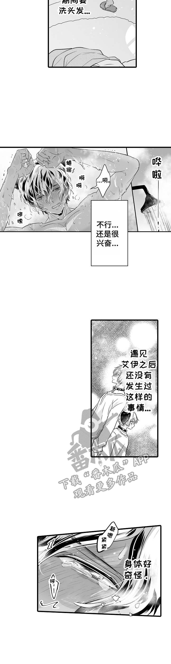 森林中的熊先生漫画免费观看漫画,第7章：发狂4图