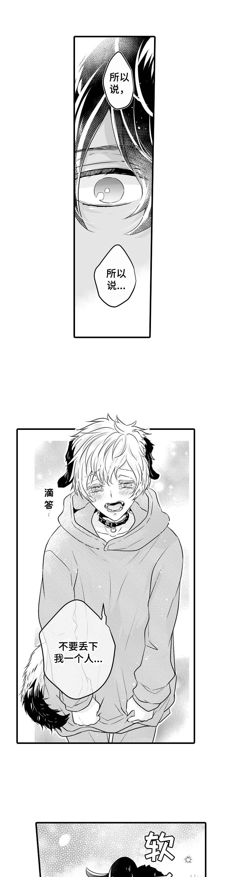 森林中的熊先生漫画免费观看漫画,第2章：冬眠3图