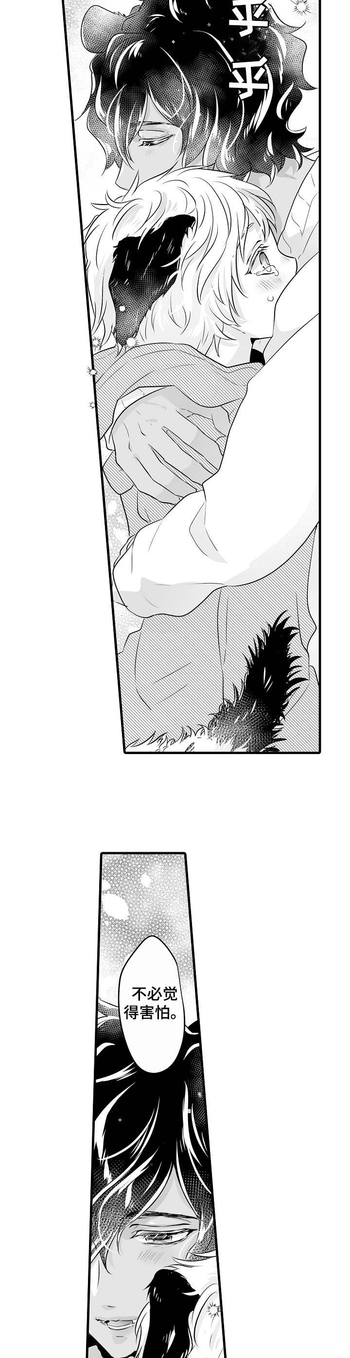 森林中的熊先生漫画免费观看漫画,第2章：冬眠4图