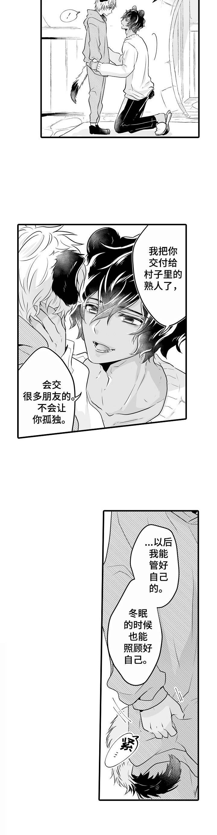 森林中的熊先生漫画免费观看漫画,第2章：冬眠2图