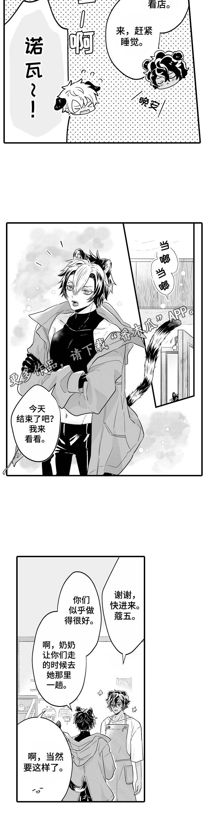 森林中的熊先生动漫在线漫画,第15章：报酬4图