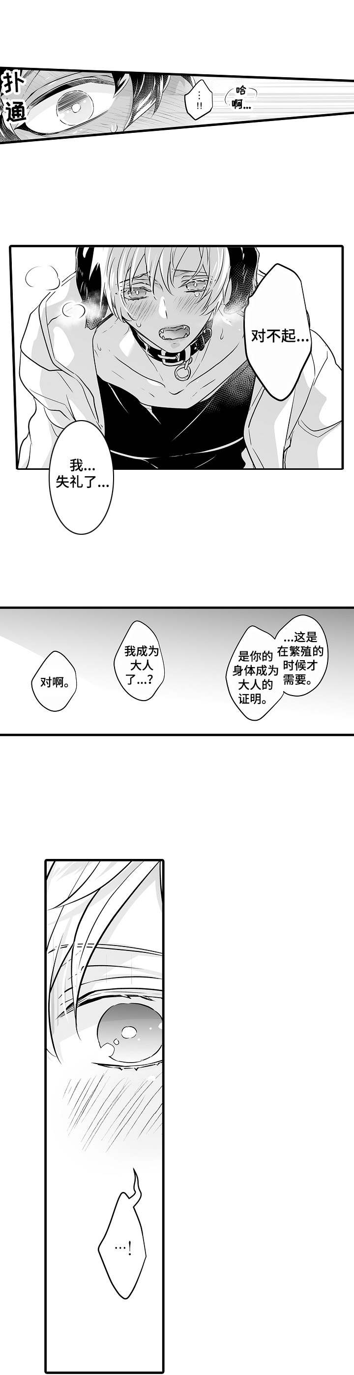 森林中的熊动漫未删减版漫画,第3章：大型犬2图