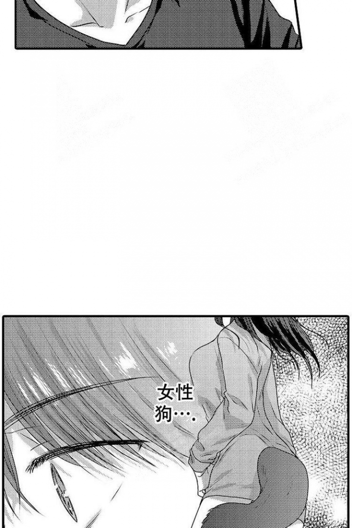 小野狗生存习性漫画,第8话3图