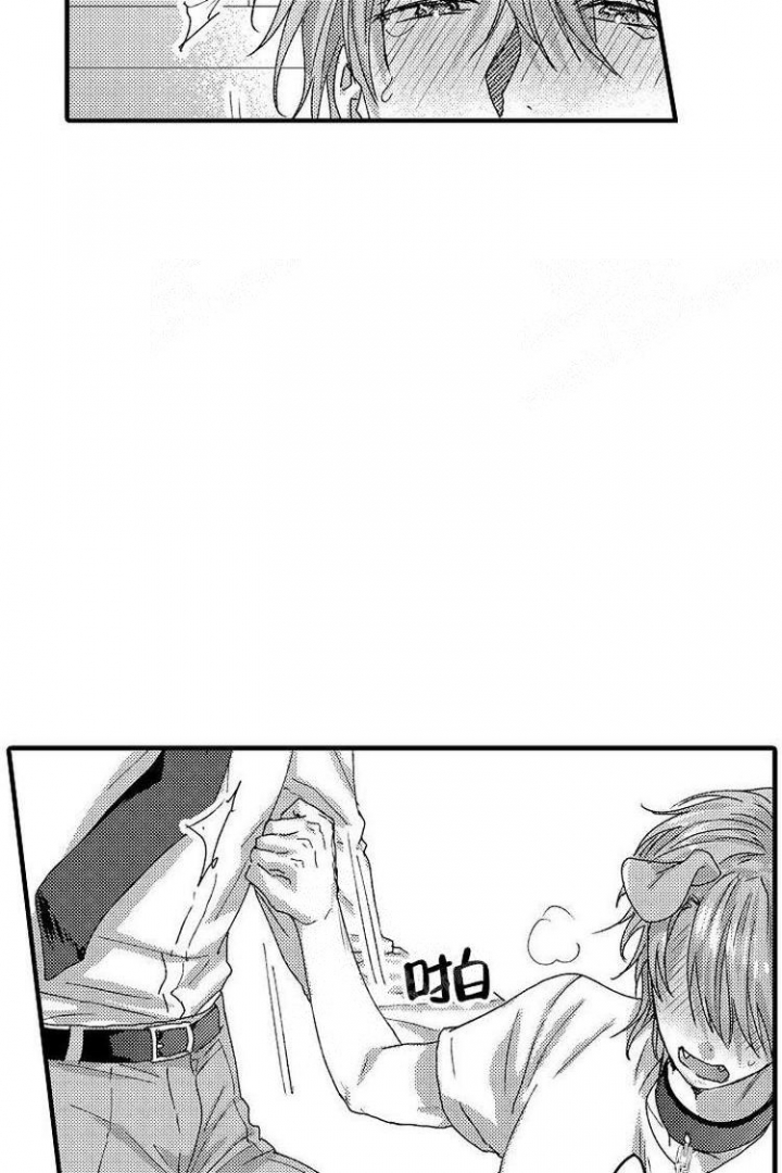 家养的小野狗漫画,第17话4图