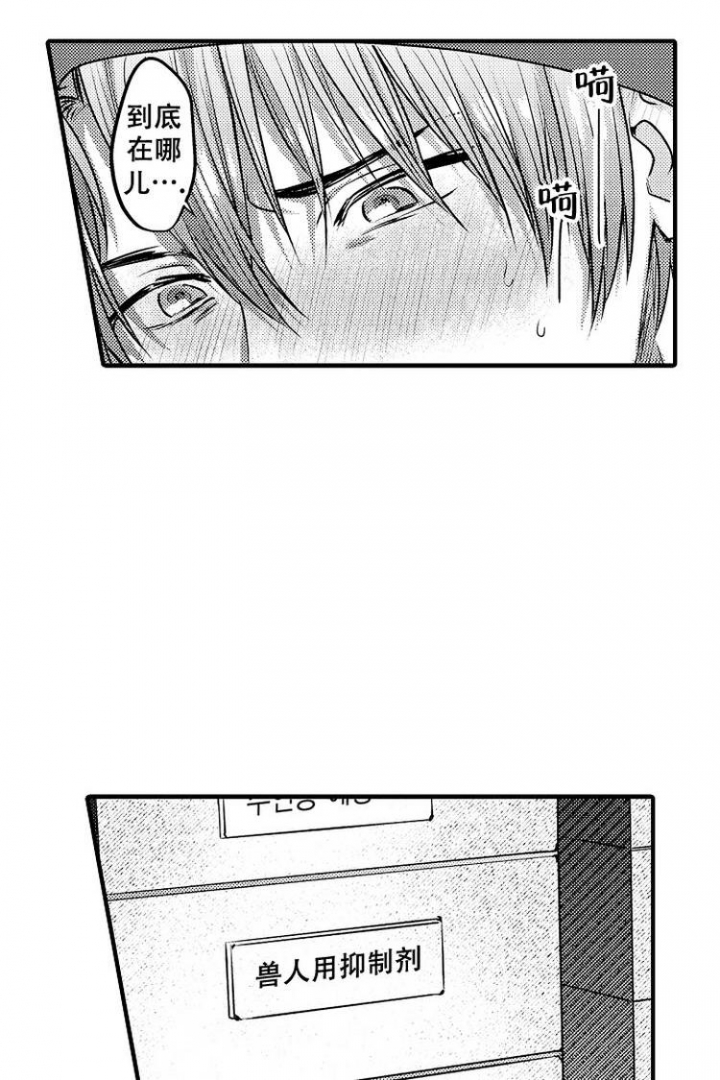 小狗成长日记400字大全漫画,第1话4图