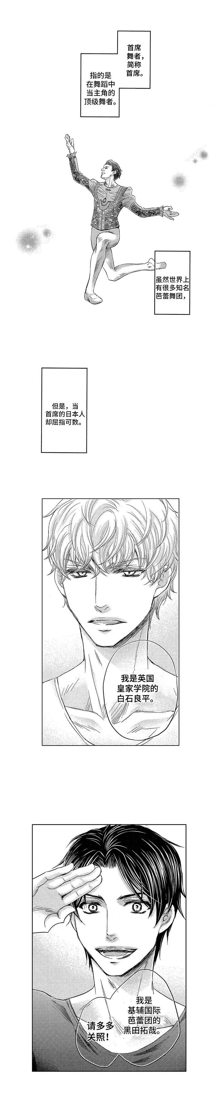 芭蕾王子完整版漫画,第1章：首席舞者1图