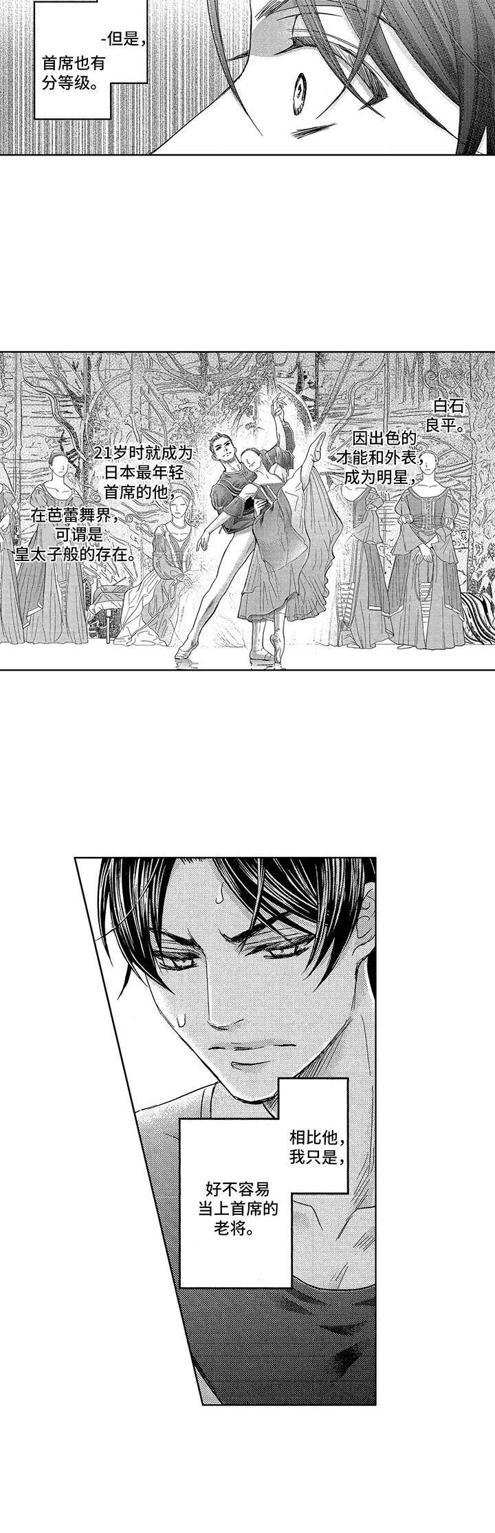 芭蕾王子完整版漫画,第1章：首席舞者4图