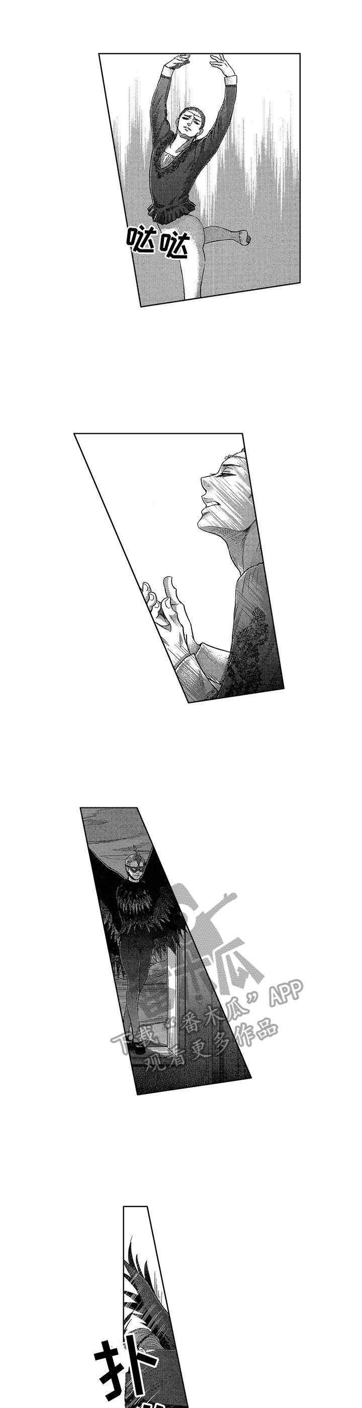 芭蕾王子舞蹈风暴漫画,第18章：很完美2图