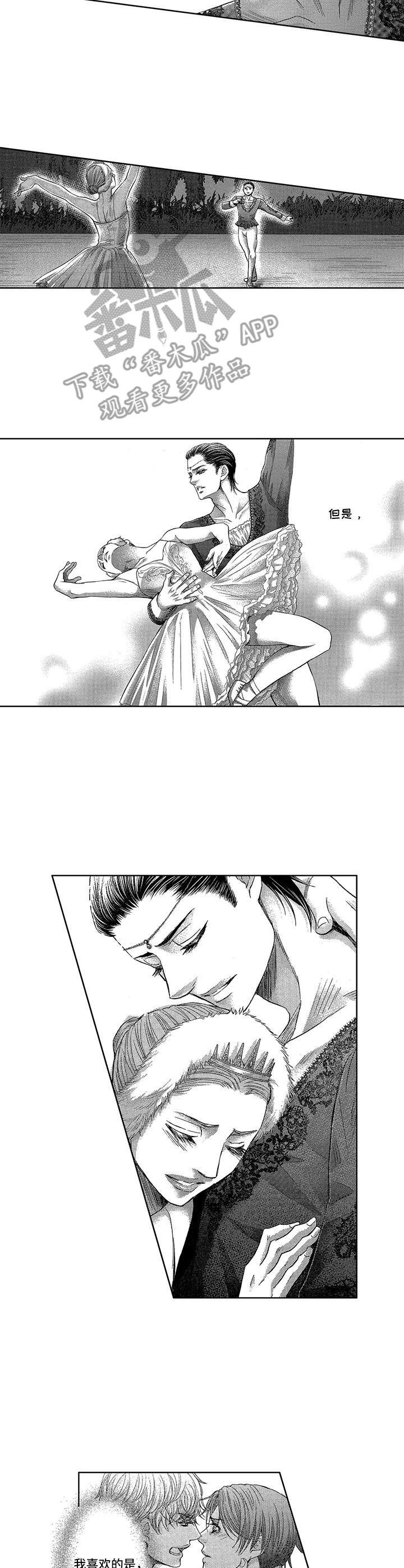 芭蕾王子舞蹈风暴漫画,第18章：很完美5图