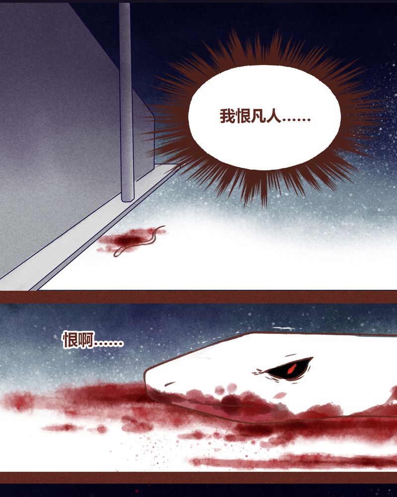 神兽金刚动漫漫画,第71章：1图