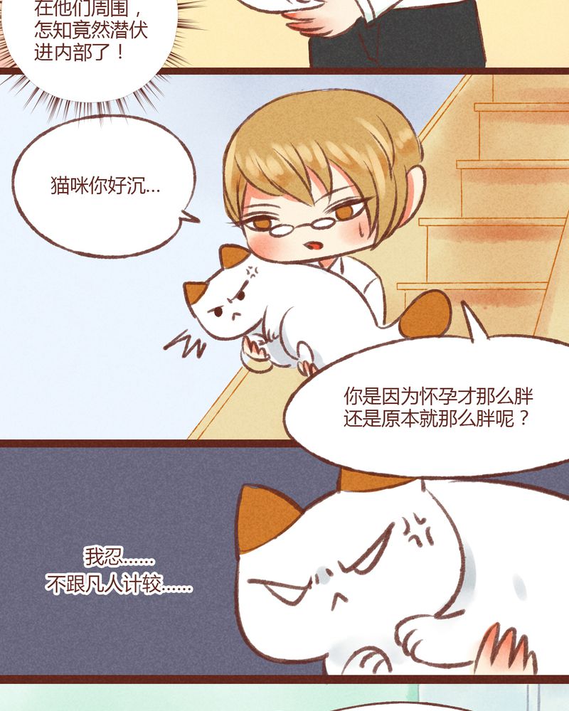 神兽退散免费全集阅读漫画,第19章：5图