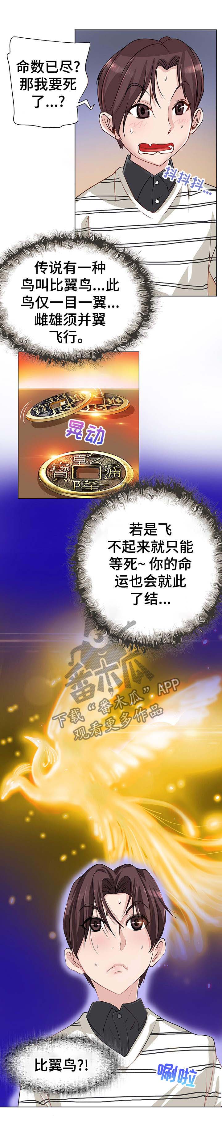 灵魂联动卡片漫画,第1章：命数4图