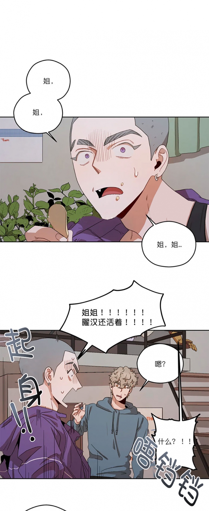 利瓦塔副cp第几章出现漫画,第16话5图