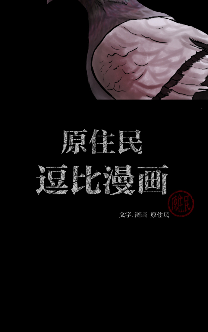 原住民逗比漫画微信公众号漫画,[第31话] 鸽子村2图