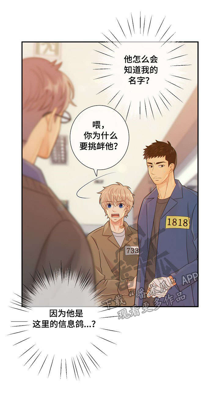 阿尔法监狱完整版漫画,第54章：挑衅5图
