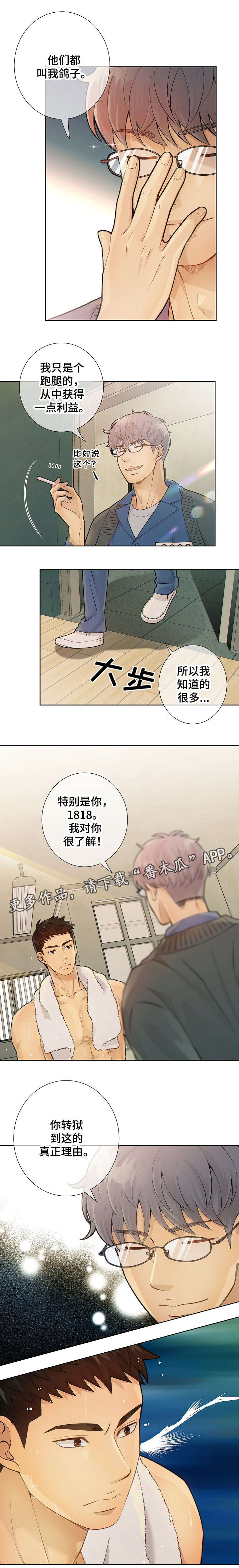 阿尔法狼伴归途漫画,第19章：到底是谁2图